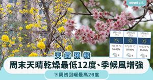 人氣文章