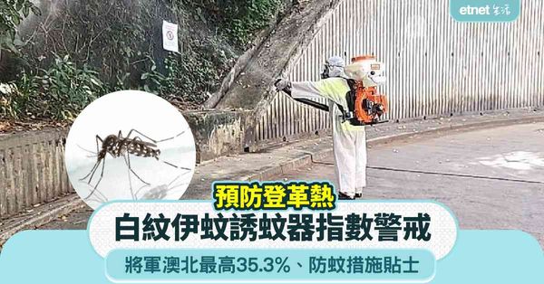 預防登革熱︱白紋伊蚊誘蚊器指數警戒！將軍澳北最高35.3%＋防蚊措施貼士