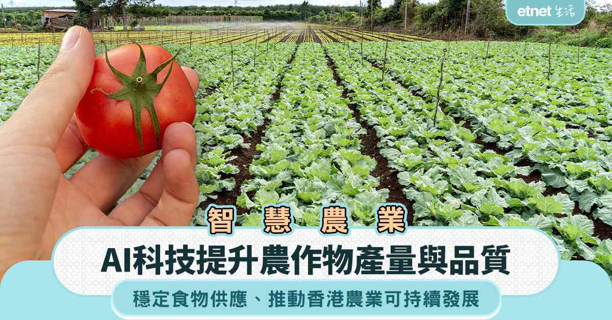 智慧農業︱AI科技提升農作物產量與品質＋穩定食物供應，推動香港農業可持續發展