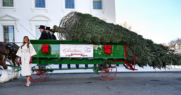 載著今年白宮聖誕樹的馬車緩緩駛入白宮，美國第一夫人梅拉尼婭親自迎接