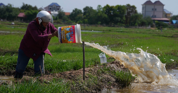 柬埔寨金邊近郊發生水災，及後一名當地農民從她的稻田抽水