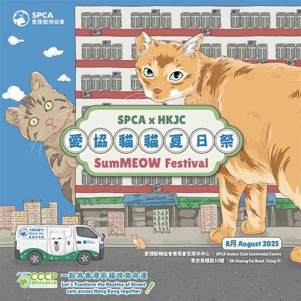 青衣愛協青衣中心｜SPCA x HKJC 愛協貓貓夏日祭 「貓隻領域護理計劃」25 周年慶祝活動