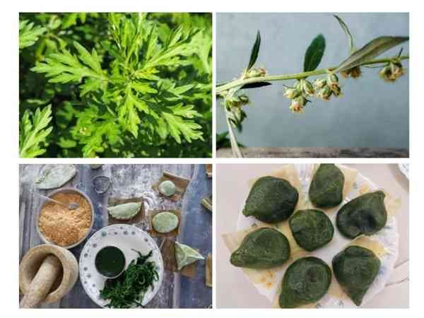 深水埗賽馬會長春社｜中華傳統文化中的自然生態展覽