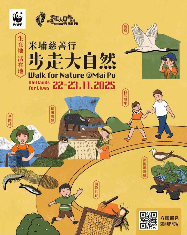 元朗米埔自然保護區 ｜世界自然基金會香港分會「步走大自然 2025」