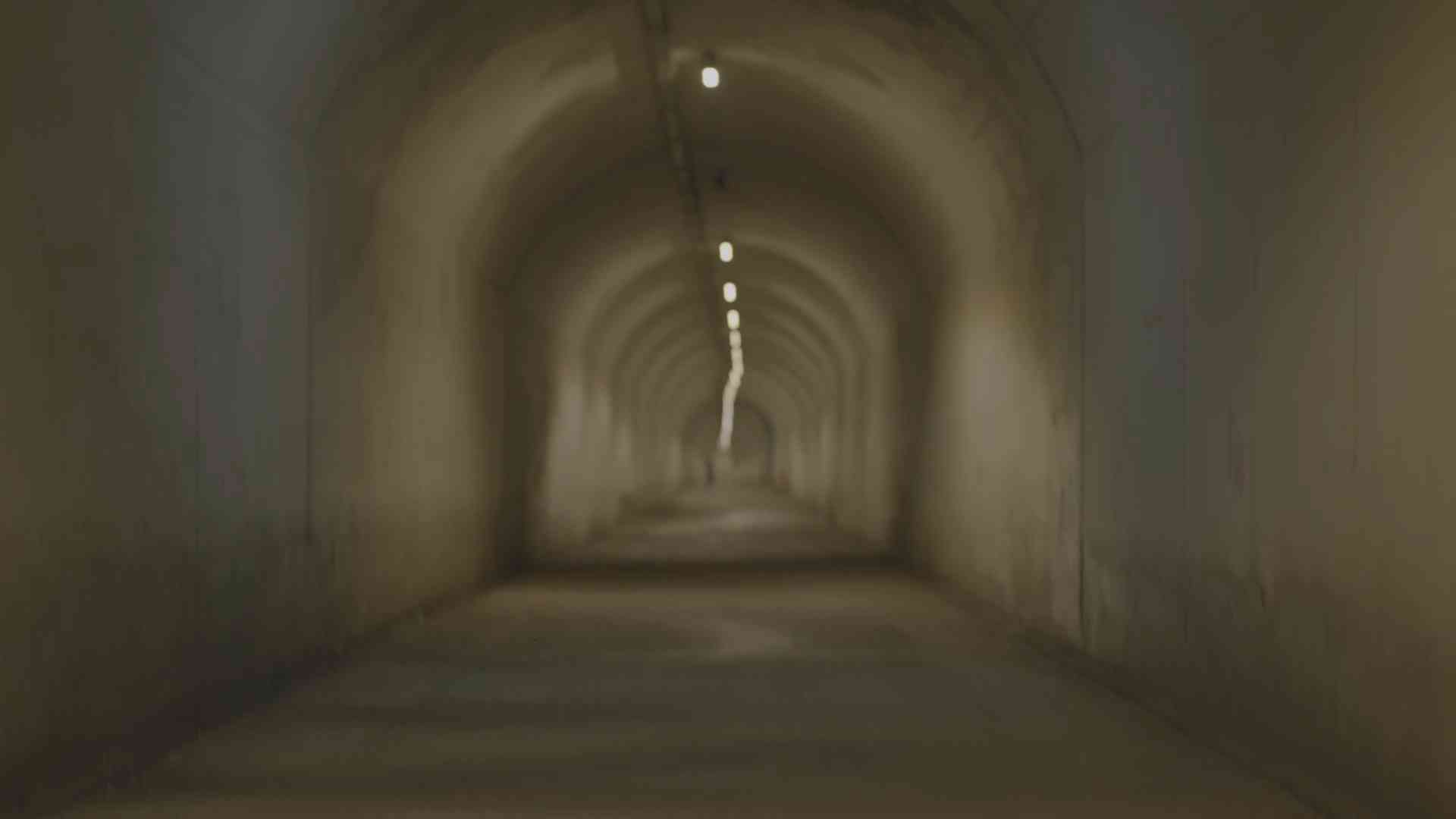 Tai Kwun｜DigiRadiance：Zhang Peili《A Day》