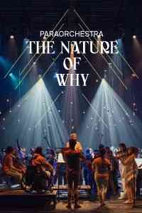 葵青剧院｜香港艺术节及香港赛马会慈善信托基金联合呈献2026无限亮：帕拉管弦乐团《无边狂想曲》