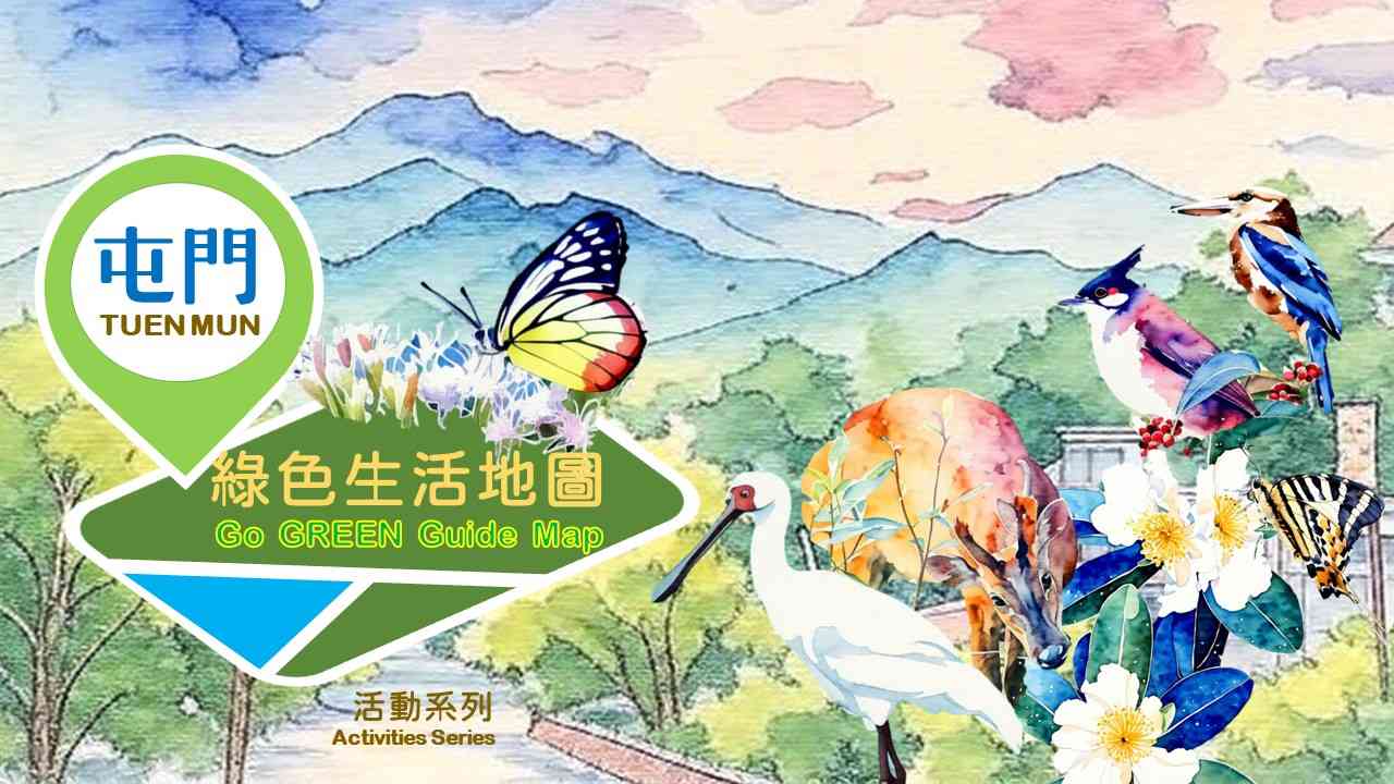 屯门公共图书馆｜「屯门绿色生活地图」活动系列──「海洋奇珍 ─ 绿海龟」展览