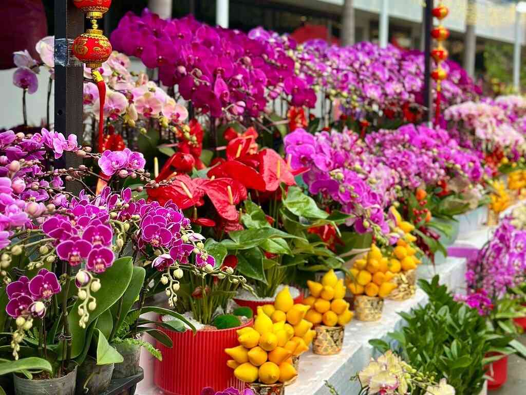 Causeway Bay Victoria Park｜2026 Lunar New Year Fairs