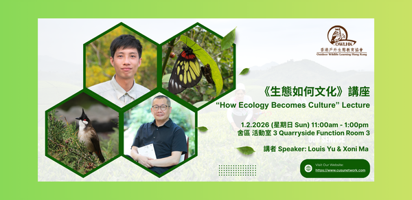 鰂魚涌舍區｜香港文化與可持續發展中心有限公司 :《生態如何文化》講座