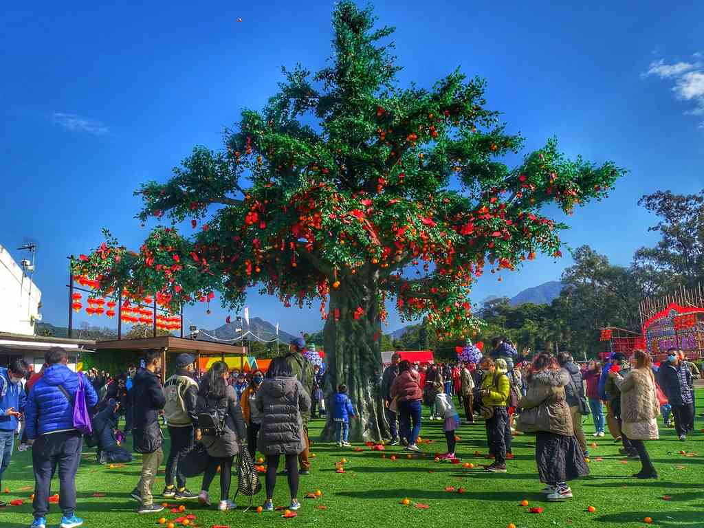 大埔林村｜香港许愿节2026