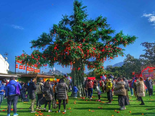 Tai Po Lam Tsuen | Hong Kong Well-wishing Festival 2026