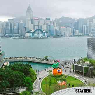 尖沙咀星光大道｜全新《MOJO EXPO 星光卜览》9米巨型胡萝卜闪耀维港