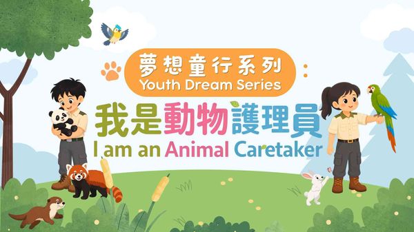 南葵涌公共图书馆｜梦想童行系列：「我是动物护理员」─「动物世界大发现」专题书籍展览