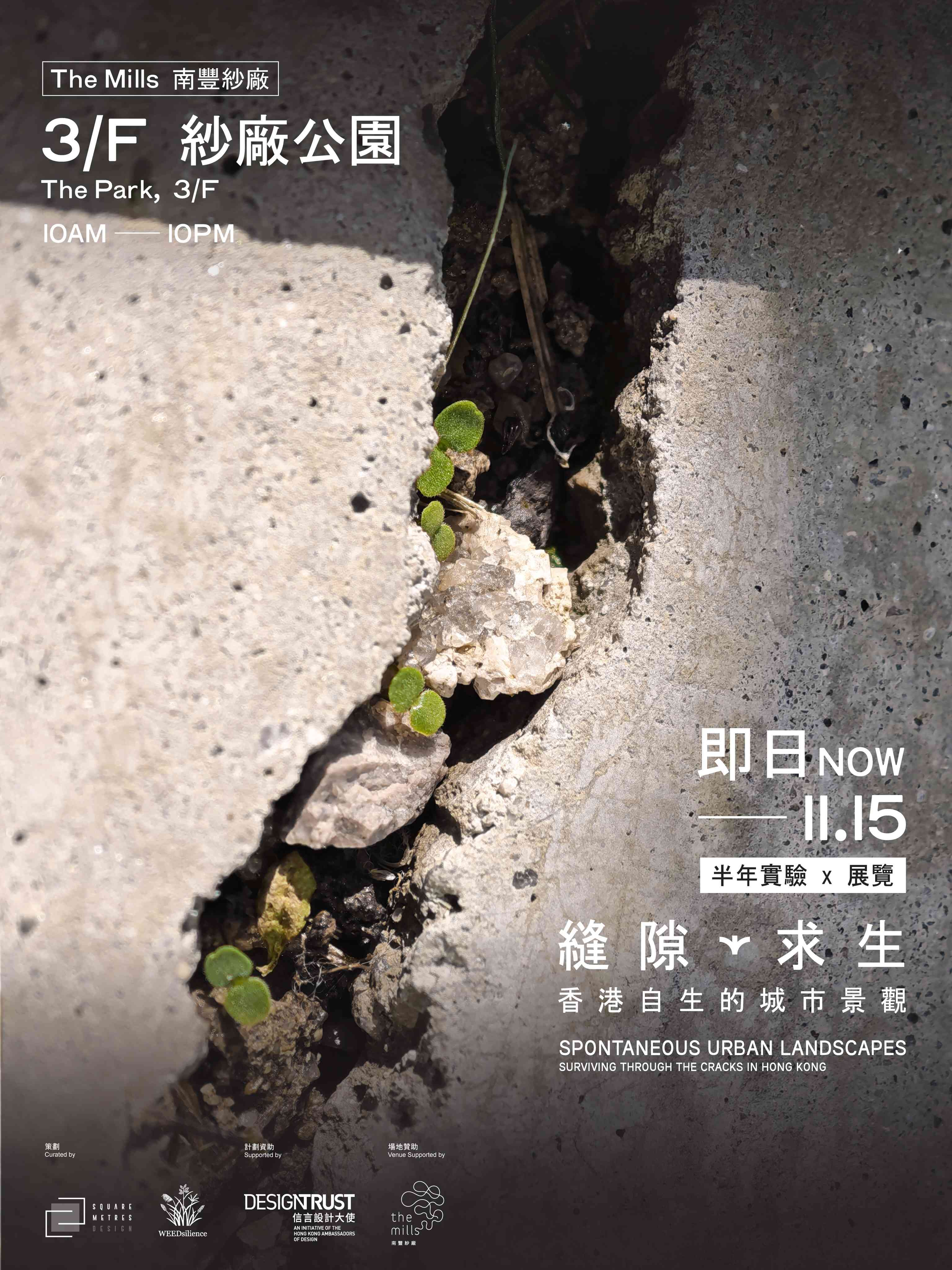 荃灣南豐紗廠｜​《縫隙​求生：​香港​自生​的​城市​景觀》​展覽​