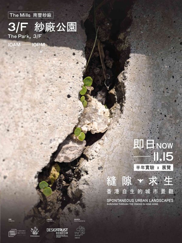 Tsuen Wan The Mills｜​《Surviving Through the Cracks: Spontaneous Urban Landscapes of Hong Kong》Exhibition