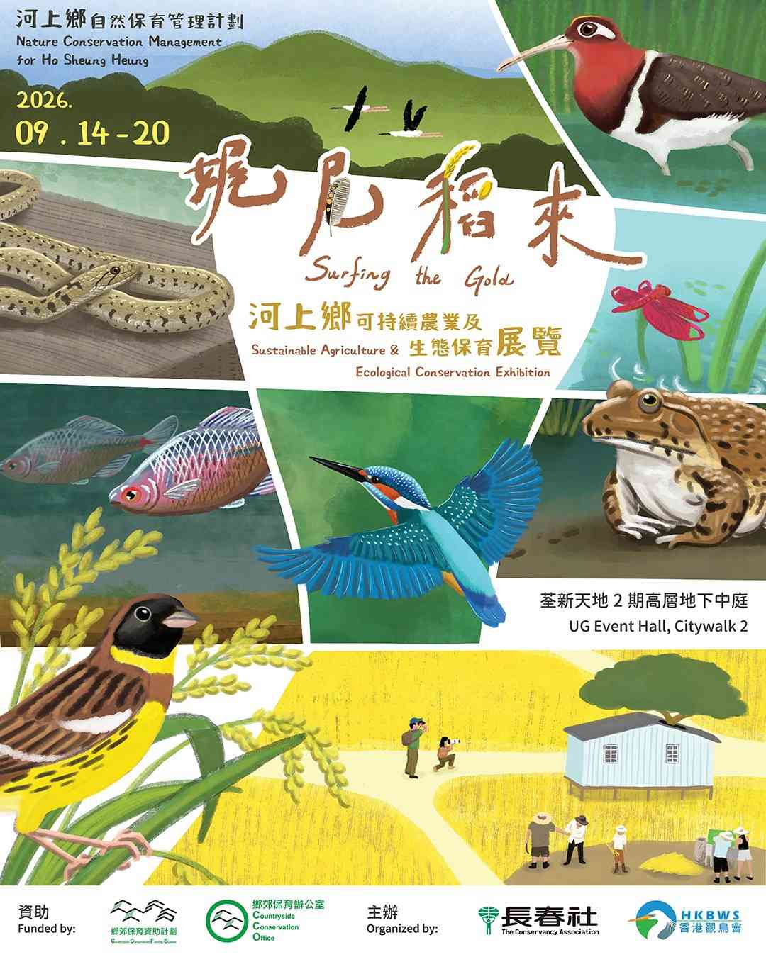 Citywalk荃新天地2｜娓尾稻来：河上乡可持续农业及生态保育展览