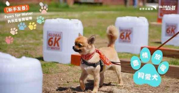 West Kowloon Cultural District Art Park | Beginner-Friendly Paws for Water Dog Charity Obstacle Race: Let Your Furry Friend Run Wild + Win Big Prizes!