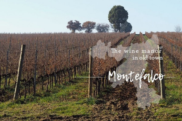 於意國古城Montefalco嚐一口紅酒