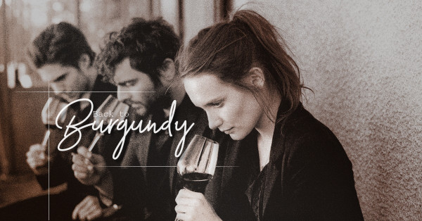 布爾岡白酒相宜之選：Pernand-Vergelesses