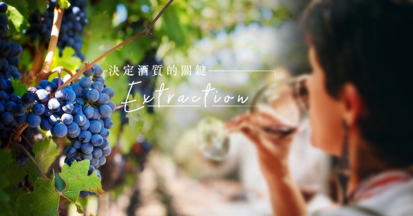 天氣和環境外，還有甚麼因素影響酒質？