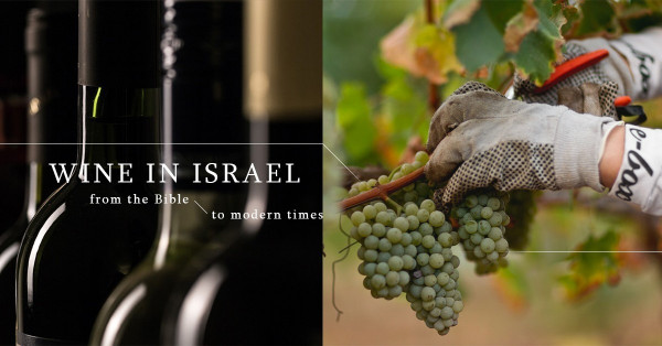 舊世界酒國大觀園—認識以色列之酒