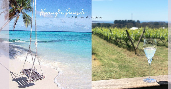Mornington Peninsula：給海風吻過的清香—摩寧頓半島