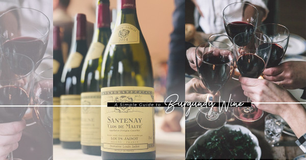 Bourgogne：認識布爾崗低調一族，Chardonnay以外的美酒