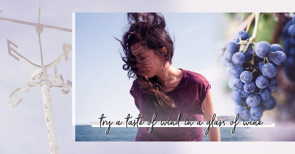 冷風、熱風口味均不同？從葡萄酒中品味當地「風」味