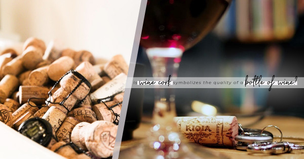 用水松木塞的酒更矜貴？為甚麼由古至今水松木塞難以取替？