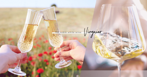 高冷傲氣的酒中香水！Viognier酒體飽滿、性格鮮明，散發迷人特質！