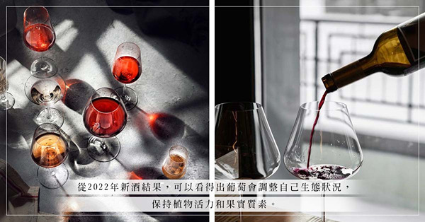 重遊波爾多，看2022年新酒表現！酒味、酸度和清秀氣息，哪幾瓶酒的質素比預期優秀？