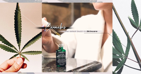 CBD Beauty：擁有超強的鎮靜、抗炎功效！萃取自大麻的美容界新寵，香港都可合法買到