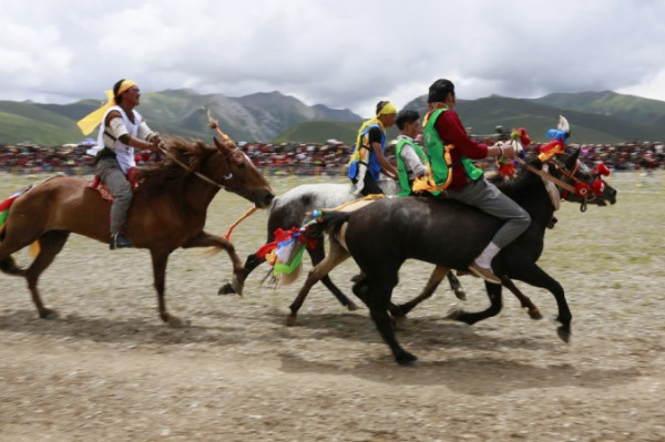 漫遊青川草原 玉樹草原賽馬節