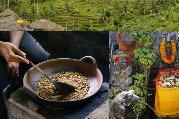 峇里島火山地貌奇觀