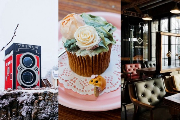 【悠閒．遊韓】在這些主題Café度過旅行的美好時光