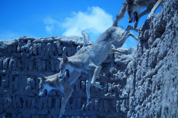 《狼圖騰》比狼更「狼」的人性