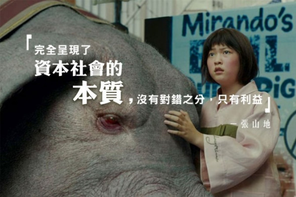 Netflix 原創電影《玉子》 救豬歷險批評人類偽善