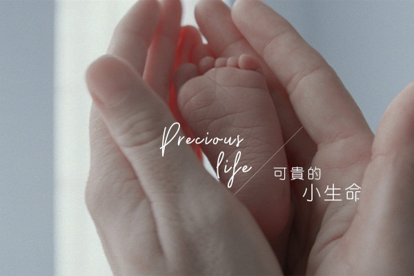 《無子人生》不婚不生的社會會是怎樣？