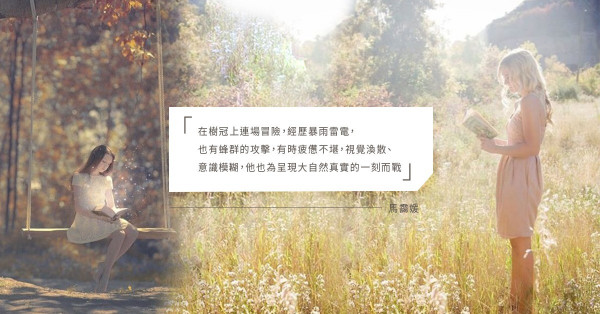 生態攝影師帶你看樹上秘境！兩本令你為樹著迷的書