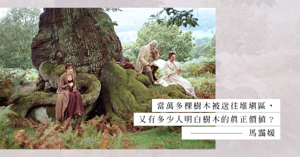 山竹的啟示：你家門口的老樹，承載著地球的記憶