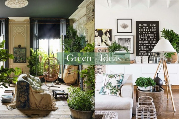 【生活主意】如何為沉悶的家注入點點綠意？
