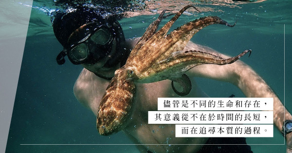 Netflix紀錄片My Octopus Teacher：與八爪魚做朋友，在迷失中尋回生命的本質