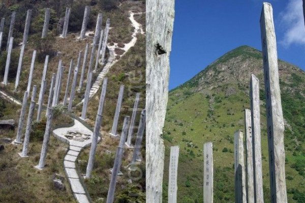 你不知道的「心經簡林」故事