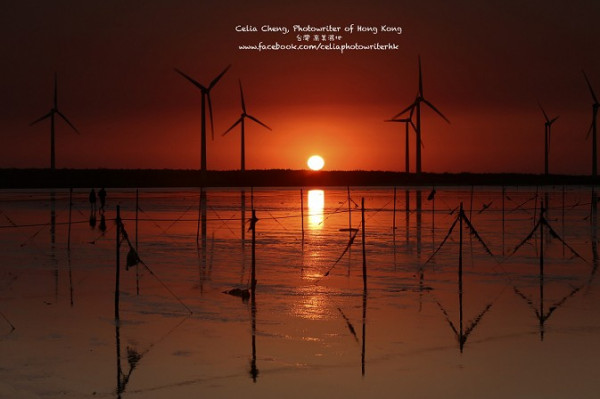 高美濕地 落日美麗動容