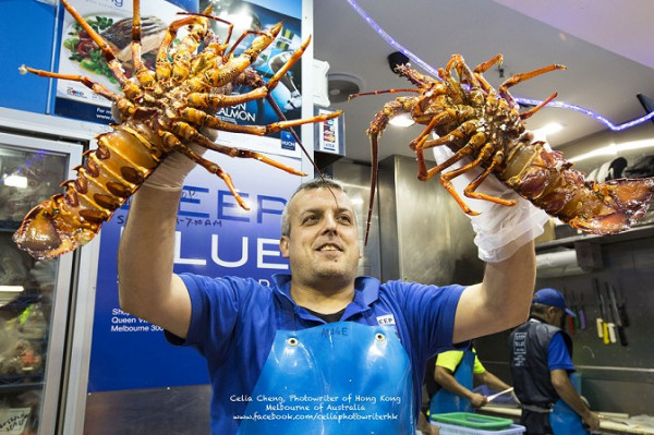 澳洲墨爾本「滋味市場」