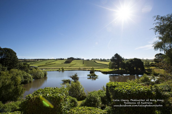 塔斯曼尼亞 酒香旅途