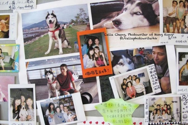 台灣花蓮。窩心民宿「柚子家」