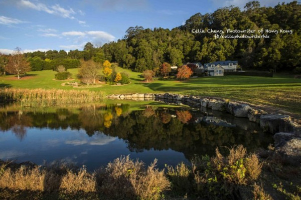 悉尼市郊：秋色下的童話民宿