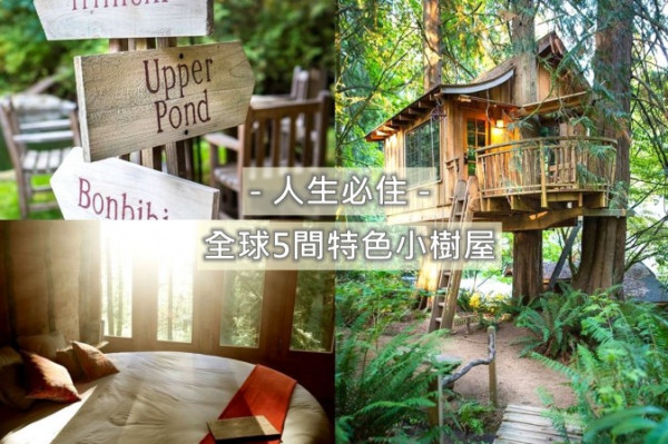 一輩子必住一次：全球5間特色小樹屋