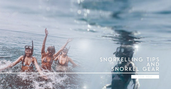 【浮潛必備】3件法寶加3個Tips  讓你盡情探索海底世界